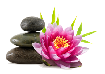 Buche Jetzt Deine kostenfreie Info 0151 2277 4585 Image